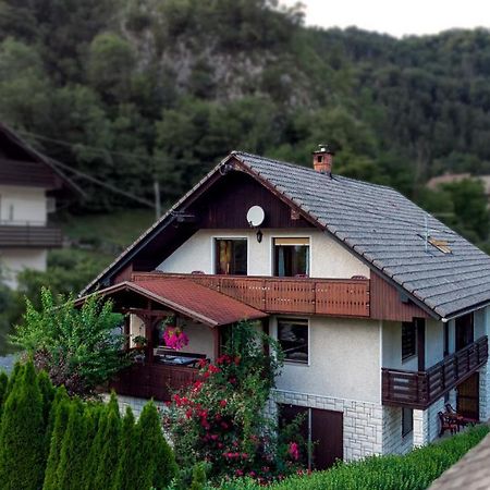 Alp House Hotel Bohinjska Bela Ngoại thất bức ảnh
