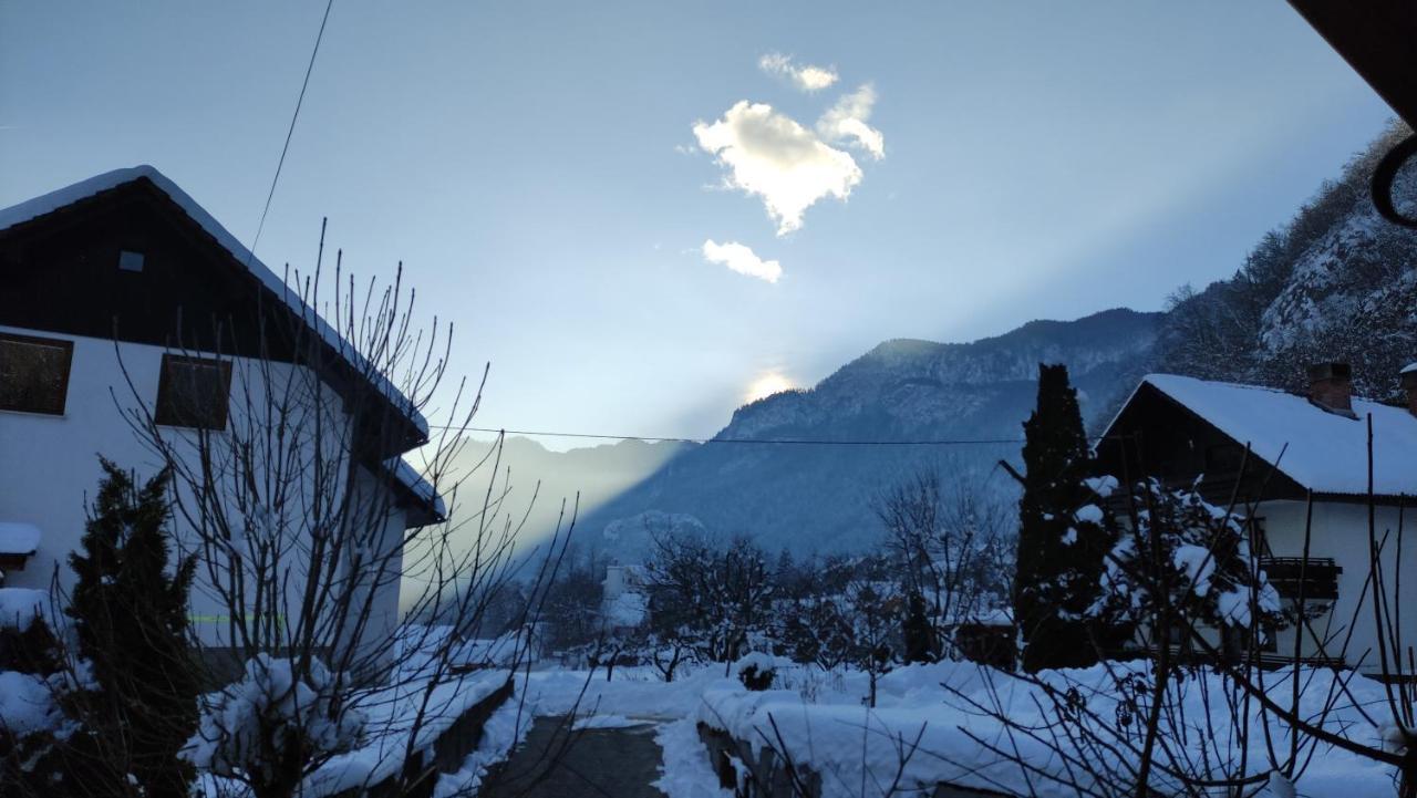 Alp House Hotel Bohinjska Bela Ngoại thất bức ảnh