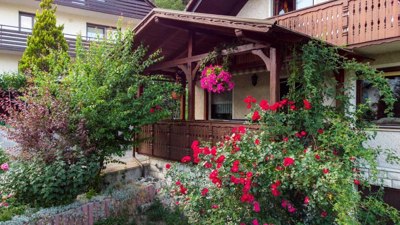 Alp House Hotel Bohinjska Bela Ngoại thất bức ảnh